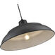 R Series 1 Light 20 inch Satin Black Indoor Pendant Ceiling Light